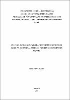 Dissertação_MitsiMoisés_PPGENF.pdf.jpg