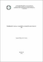Dissertação_AugustoKluczkovskiJunior_PPGCA.pdf.jpg