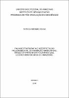 Dissertação_PatríciaRocha_PPGEO.pdf.jpg