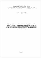 Dissertação_PabloCortêz_PPGCS.pdf.jpg