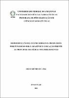 Dissertação_RildoLima_PPGCF.pdf.jpg