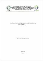 Dissertação_KevinAmayaCocas_PPGEOG(Português).pdf.jpg
