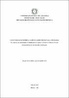 Dissertação_JoãoGuilhermeMartinez_PPGI.pdf.jpg