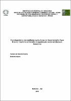 Dissertação_VivianeRocha_PPGSS.pdf.jpg