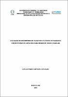 Dissertação_CarlosCarvalho_PPGCEM.pdf.jpg