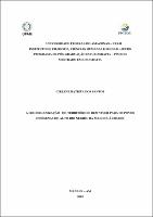 Dissertação_CirleneSantos_PPGEOG.pdf.jpg
