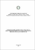 Dissertação_MarioCavalcante_PPGSCA.pdf.jpg