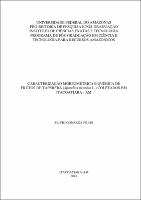 Dissertação Silvio Gonzaga Filho.pdf.jpg