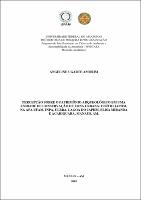 Dissertação_AngelineAmorim_PPGCASA.pdf.jpg