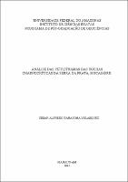 Dissertação_CezarVelasquez_PPGEOC.pdf.jpg
