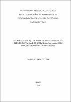 Dissertação_TamiresOliveira_PPGCF.pdf.jpg