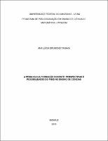 Dissertação_AnaLúciaTanaka_PPGECIM.pdf.jpg