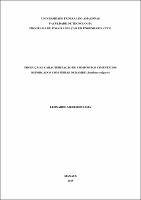 Dissertação_LeonardoLima_PPGEC.pdf.jpg