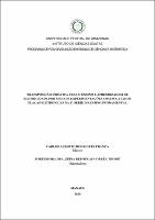 Dissertação_CarlosFrança_PPGECIM.pdf.jpg