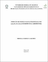 Dissertação_MircellaAlecrim_PPGCA.pdf.jpg