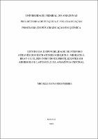 Dissertação_MichelePereira_PPGQ.pdf.jpg