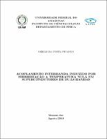 Dissertação_OzeiasPicanço_PPGF.pdf.jpg