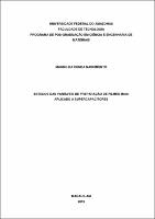 Dissertação_MagnoNascimento_PPGCEM.pdf.jpg