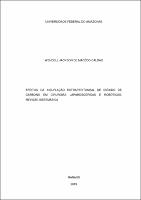 Dissertação_WendellCaldas_PPGRACI.pdf.jpg