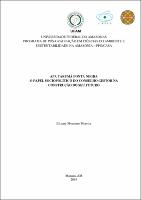 Dissertação_ElizanyMonteiro_PPGCASA.pdf.jpg