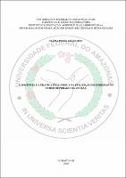 Dissertação_ElíziaCelestino_PPGECH.pdf.jpg