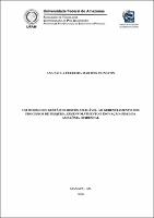 Dissertação.Ana Paula F. M. Pignaton.pdf.jpg