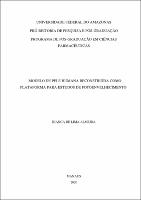 Dissertação_BiancaLima_PPGCF.pdf.jpg