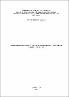 Dissertação_JuniorPeres_PPGSCA.pdf.jpg