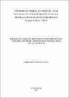 Dissertação_CibeledeSouza_PPGCF.pdf.jpg