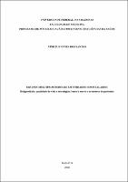 Dissertação_ViníciusSantos_PPGCS.pdf.jpg