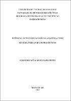 Dissertação_SamirCarvalho_PPGCF.pdf.jpg