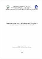 Dissertação_Duliane_Gomes_PPGECIM.pdf.jpg