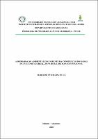 Dissertação_MariadeFátimadaSilva_PPGEOG.pdf.jpg