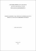 Dissertação_NaorSouza_PPGM.pdf.jpg