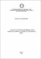 Dissertação_JoelmaRicardo_PPGRACI.pdf.jpg