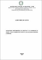 Dissertação_JuniorCastro_PPGEOG.pdf.jpg