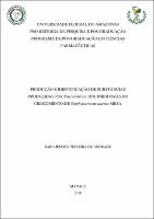 Dissertação_SaraAndrade_PPGCF_.pdf.jpg