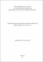 Dissertação_KamillaPicanço_PPGCF.pdf.jpg