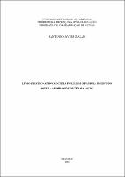 Dissertação_SantiagoGalan_PPGL.pdf.jpg