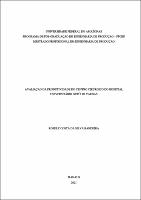 Dissertação_RoselyBandeira_PPGEP.pdf.jpg