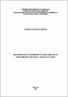 Dissertação_ CarluziMattos_PPGCASA.pdf.jpg