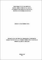 Dissertação_CarlosPinto_PPGRACI.pdf.jpg