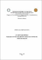 Dissertação_GersicaSilva_PPGCASA.pdf.jpg