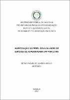 Dissertação_BetinaAraujo_PPGQ.pdf.jpg