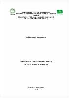 Dissertação_OséasSantos_PPGSCA.pdf.jpg