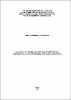 Dissertação - Edeilton Pereira dos Santos.pdf.jpg