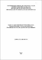 Dissertação - Fabíola Tavares Bento.pdf.jpg