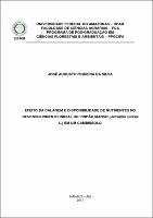 Dissertação - José Augusto Figueira da Silva.pdf.jpg