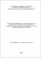 Dissertação - José Bandeira Cavalcante da Silva Júnior.pdf.jpg