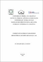 Dissertação - Evangeline Maria Cardoso.pdf.jpg